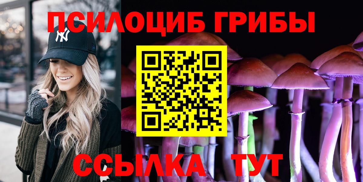 Галлюциногенные грибы Psilocybine cubensis Домодедово