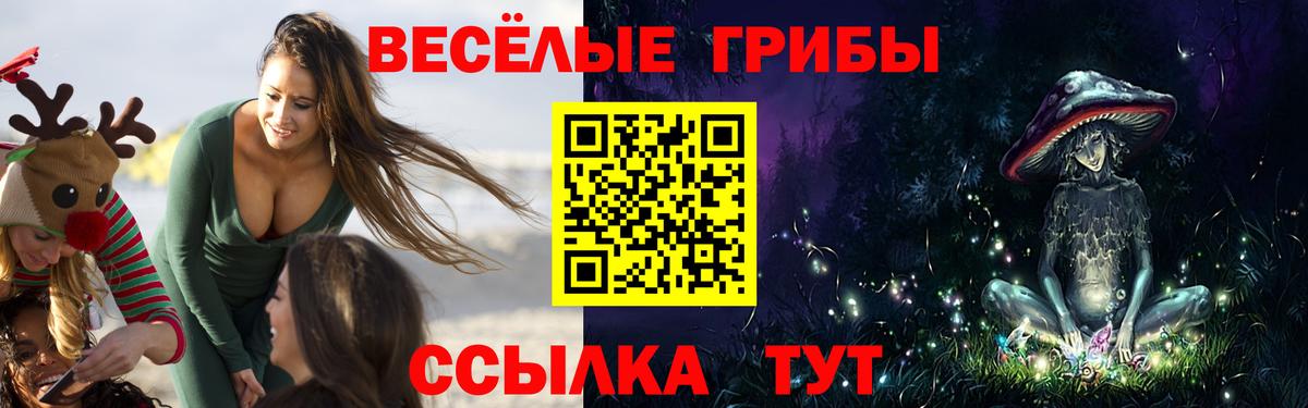 Галлюциногенные грибы Psilocybine cubensis  хочу наркоту  Домодедово  Псилоцибиновые грибы ЛСД  Вход с VPN 